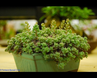 2008-05-10 - DSC_0387.jpg