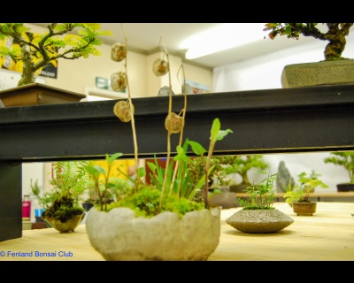 2008-05-10 - DSC_0388.jpg