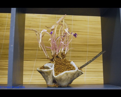 2008-05-10 - DSC_0393.jpg