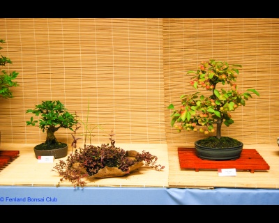 2011-07-16 - DSC_2548.jpg