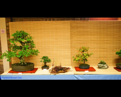 2011-07-16 - DSC_2549.jpg