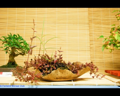 2011-07-16 - DSC_2552.jpg