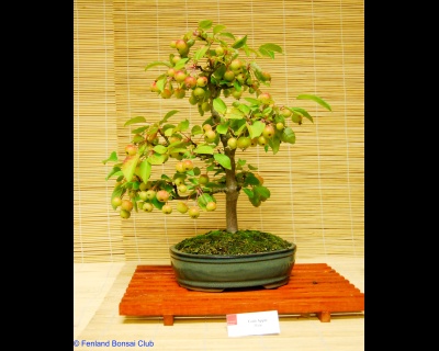 2011-07-16 - DSC_2553.jpg