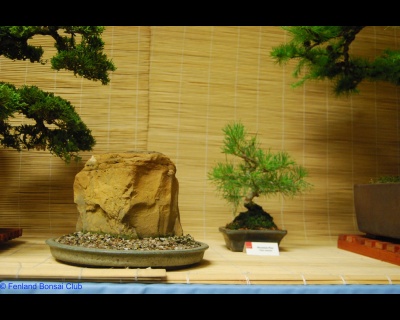 2011-07-16 - DSC_2554.jpg