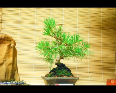 2011-07-16 - DSC_2555.jpg