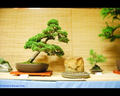 2011-07-16 - DSC_2556.jpg