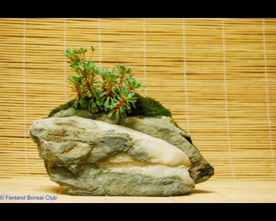 2011-07-16 - DSC_2558.jpg