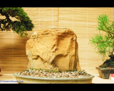 2011-07-16 - DSC_2559.jpg