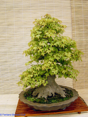 2007-05-12 - DSC02317.jpg