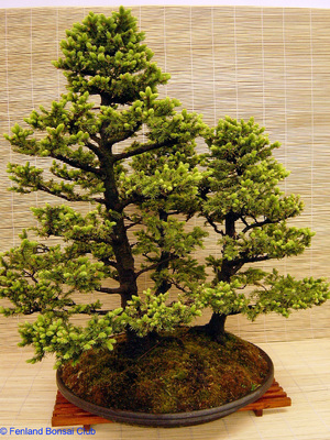 2007-05-12 - DSC02318.jpg