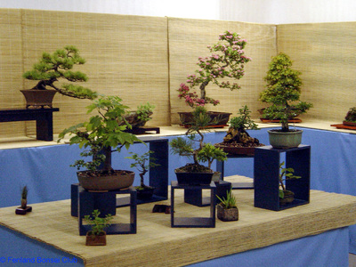 2007-05-12 - DSC02319.jpg