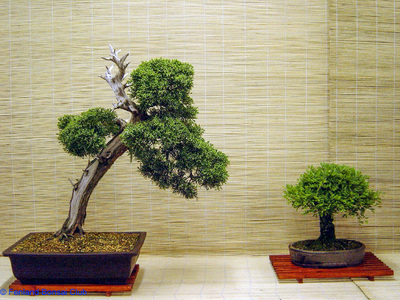 2007-05-12 - DSC02320.jpg