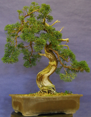 2008-02-17 - DSC_0273.jpg