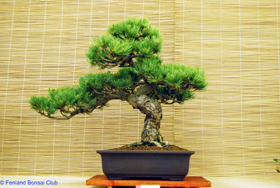 2008-05-10 - DSC_0356.jpg