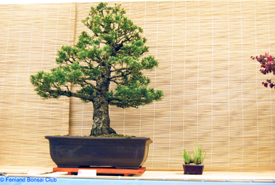 2008-05-10 - DSC_0367.jpg