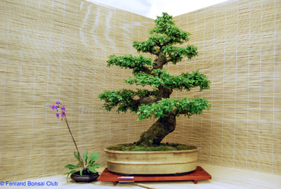 2008-05-10 - DSC_0369.jpg