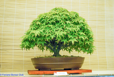 2008-05-10 - DSC_0385.jpg