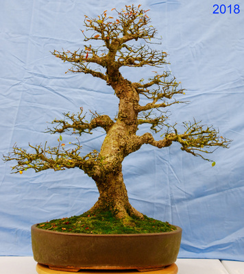 2018-01-19 - DSC_9141.jpg