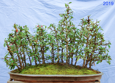 2019-01-18 - DSC_0192.jpg