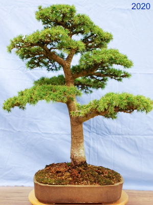 2020-01-17 - DSC_1448.jpg