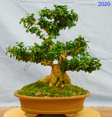 2020-01-17 - DSC_1481.jpg