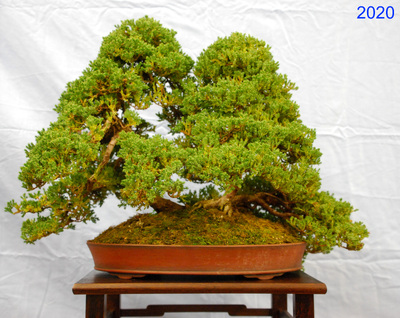 2020-01-17 - DSC_1489.jpg