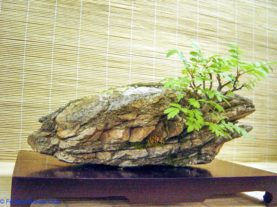 2007-05-12 - DSC02323.jpg