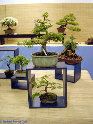 2007-05-12 - DSC02324.jpg