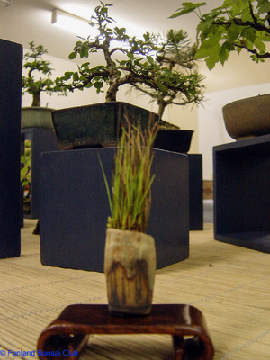 2007-05-12 - DSC02325.jpg