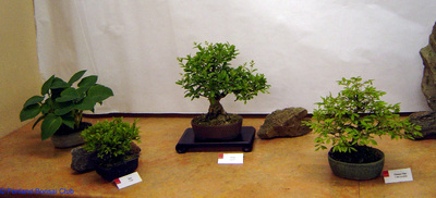 2007-05-12 - DSC02326.jpg