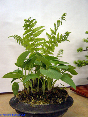 2007-05-12 - DSC02327.jpg