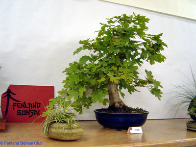 2007-05-12 - DSC02328.jpg