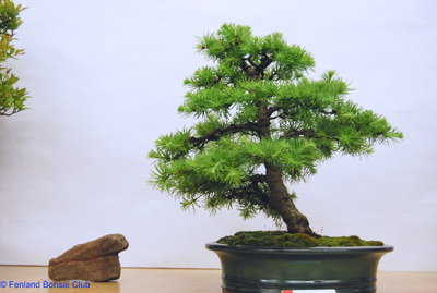 2008-05-10 - DSC_0360.jpg