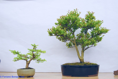 2008-05-10 - DSC_0361.jpg