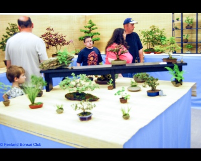 2008-05-10 - DSC_0363.jpg