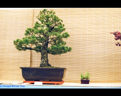 2008-05-10 - DSC_0367.jpg