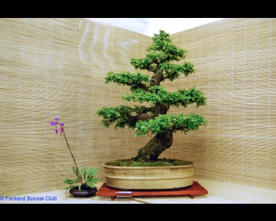 2008-05-10 - DSC_0369.jpg