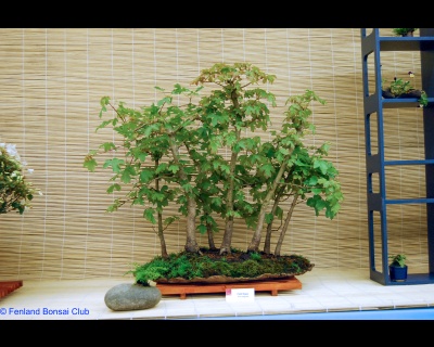 2008-05-10 - DSC_0370.jpg