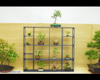 2008-05-10 - DSC_0372.jpg