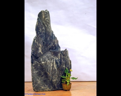 2008-05-10 - DSC_0374.jpg