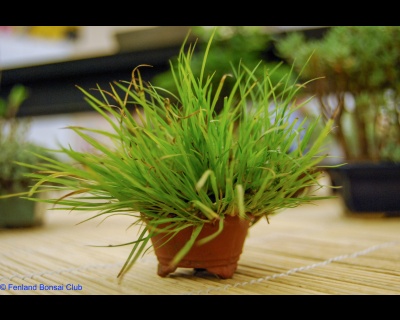 2008-05-10 - DSC_0376.jpg