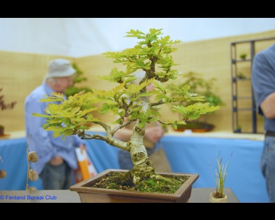 2008-05-10 - DSC_0379.jpg