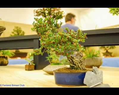 2008-05-10 - DSC_0380.jpg