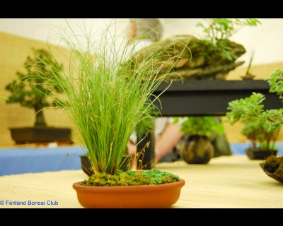 2008-05-10 - DSC_0383.jpg