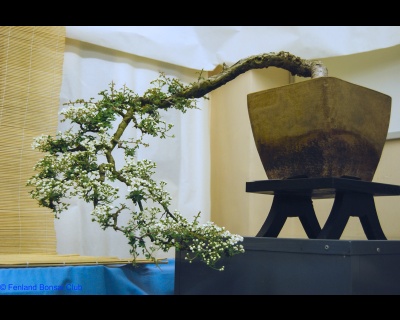 2008-05-10 - DSC_0386.jpg